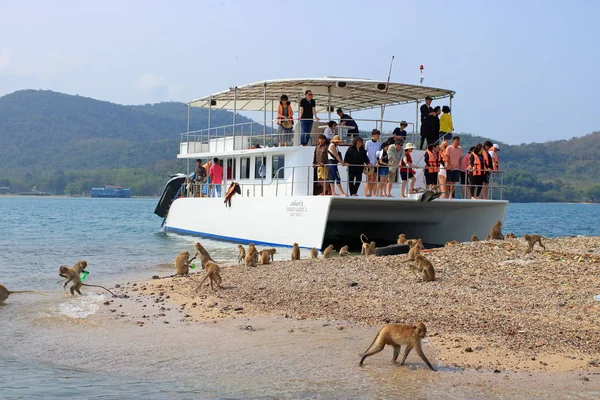 Tourist group sailed on excursions to the island of monkeys in T — Stock Photo, Image