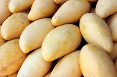 Sarı olgun mango meyvesi. Yakın plan.