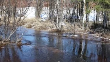 Yamal Yarımadası'ndaki ormanda ilkbaharda akarsu ile manzara