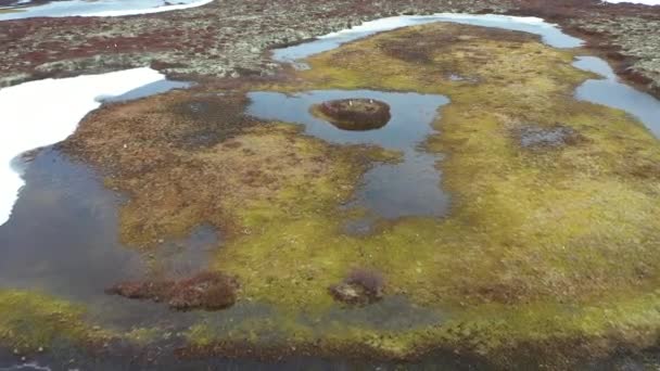 在西西伯利亚北部沼泽上空的春季飞行 — 图库视频影像