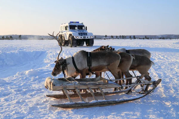 Reindeer sleigh and police car-all-terrain vehicle in the winter — Stock Photo, Image