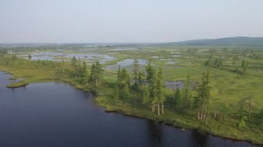 Sibirya'nın kuzeyinde tundra ve fens üzerinde uçuş