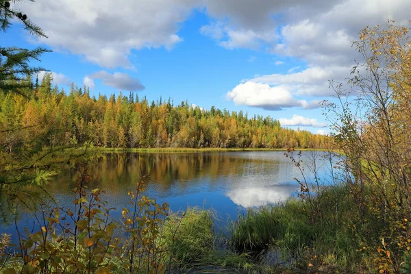 Lago del bosque en un soleado día de otoño en Yamal —  Fotos de Stock