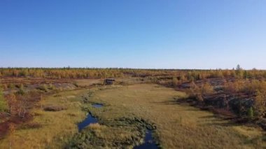 Yamal orman tundrasında Stalin'in 501 inşaat Gulag eski demiryolu köprüsü. Chum terk edilmiş inşaat - Salekhard - Igarka demiryolu