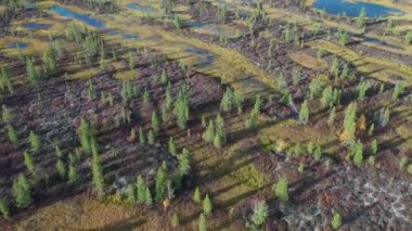 Kuzey Sibirya'da güneşli bir sonbahar gününde Yamal tundra üzerinde uçan