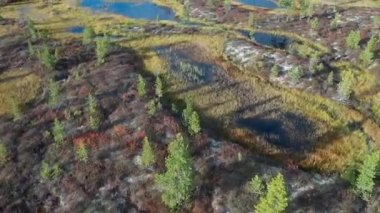 Kuzey Sibirya'da güneşli bir sonbahar gününde Yamal tundra üzerinde uçan