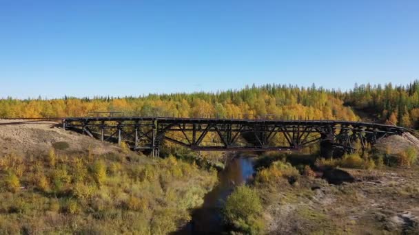 ヤマルの森ツンドラにあるスターリンの501番目の建設グラグの古い鉄道橋 チャムの放棄された建設 サレハルド イガルカ鉄道 — ストック動画