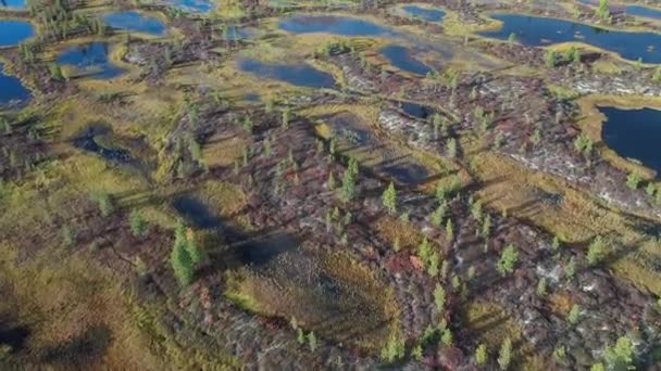 Latanie Nad Yamal Tundra Słoneczny Jesienny Dzień Północnej Syberii — Wideo stockowe