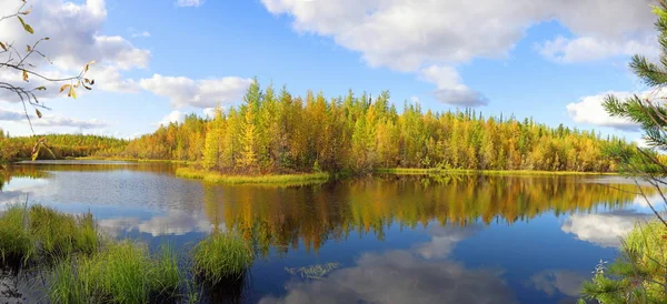 Nature de la Sibérie aux couleurs de l'automne — Photo