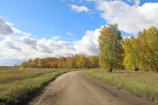 Güney Sibirya Bir Sonbahar Gününde Tarla Yolu — Stok fotoğraf