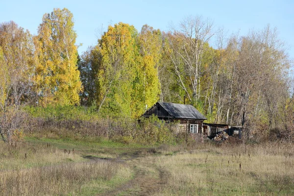 Velha Casa Madeira Rural Uma Manhã Outono Sul Sibéria — Fotografia de Stock