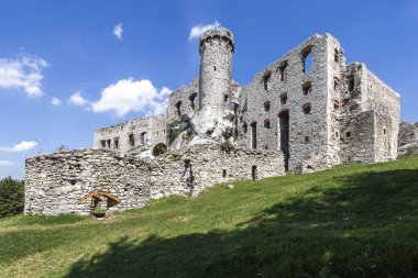 Kalesinin Ogrodzieniec - Polonya