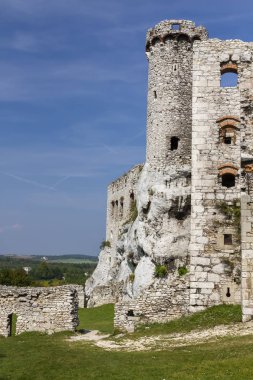 Kalesinin Ogrodzieniec - Polonya