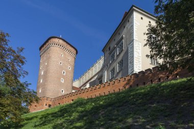 Wawel - Cracow Royal Castle - Polonya