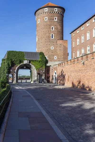 Wawel Det Kongelige Slot Krakow Polen - Stock-foto