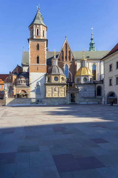 Wawel Cracow Royal Castle Polonya — Stok fotoğraf