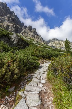 Dağ manzara-Tatras bir iz