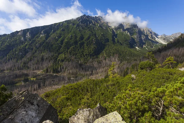 Yüksek Tatras - güzel dağ manzarası — Stok fotoğraf