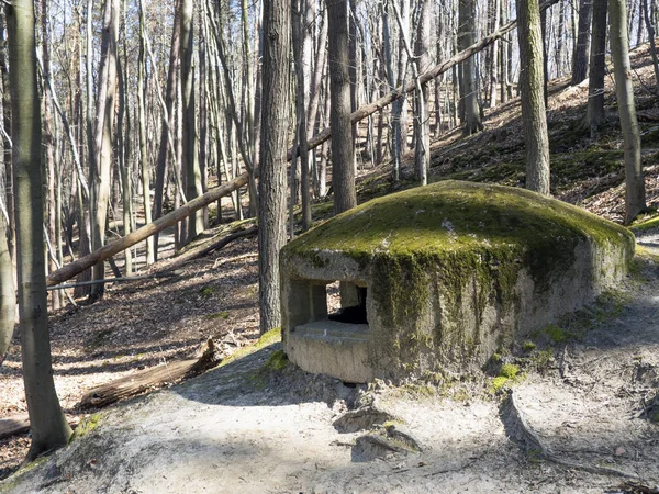 Oude, vergeten bunker uit de Tweede Wereldoorlog — Stockfoto