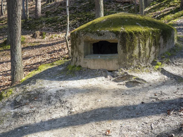 Eski, unutulmuş bunker WWII dan — Stok fotoğraf