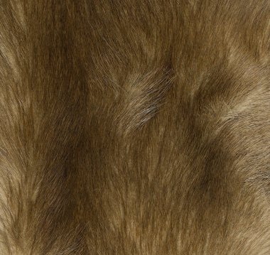 kahverengi doğal kürk doku tasarım çalışmaları için arka plan olarak