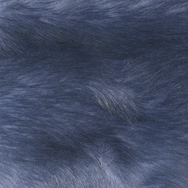 Painted Blue Natural Fur Texture Background Design Works — Stock Photo, Image