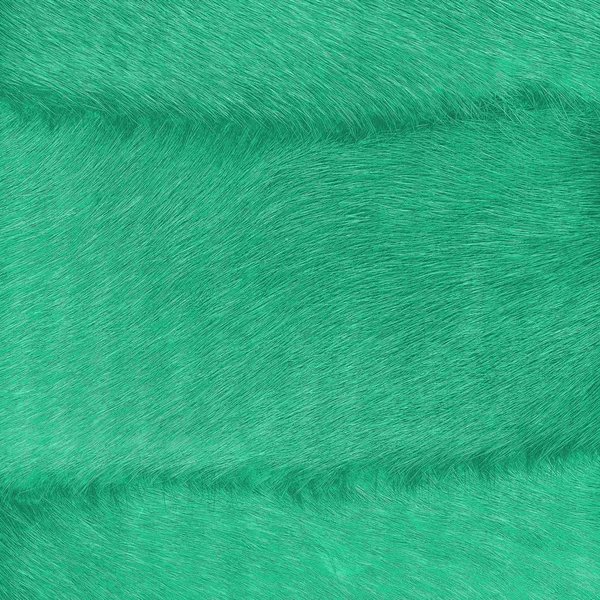 Fragment Fur Coat Natural Painted Green Fur Background — Stock Photo, Image
