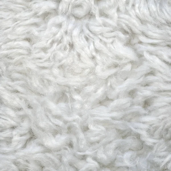 gri yünlü doku yakın çekim 