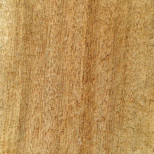 Fragment Old Plywood Sheet Texture — Stock Photo, Image