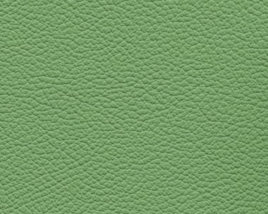Lihgt yeşil deri doku. Tasarım çalışmaları için arka plan olarak yararlı