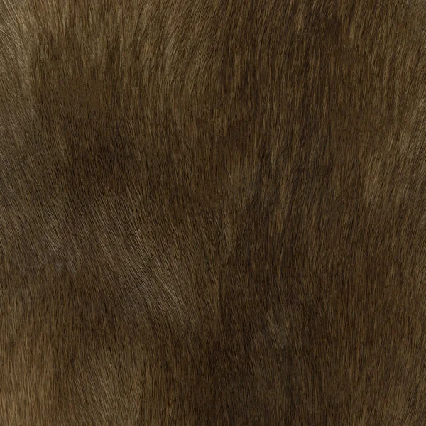 Brown Fur Texture Useful Background — Stock Photo, Image