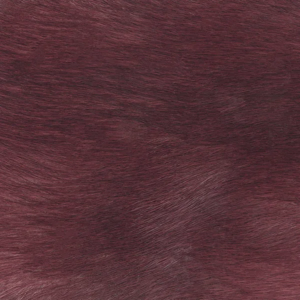 Painted Vinous Fur Texture Useful Background — Stock Photo, Image