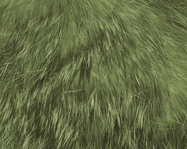 High Detailed Painted Green Natural Fur Texture Background — Stock Photo, Image