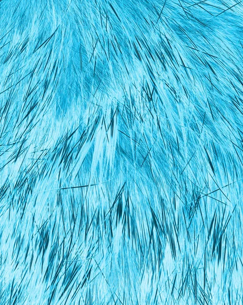 Blauwe Achtergrond Basis Van Bont Textuur — Stockfoto