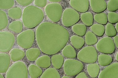 full frame image of decorated green stone wall background  clipart