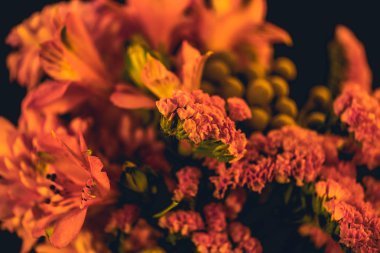 koyu arka plan üzerinde turuncu alstroemeria ve limonium çiçekler Buket, yakın çekim