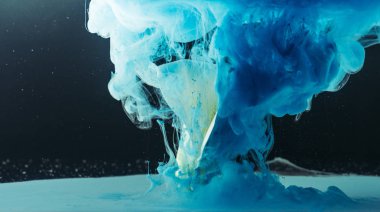 güzel ihale beyaz calla lily çiçek ve mavi mürekkep siyah  