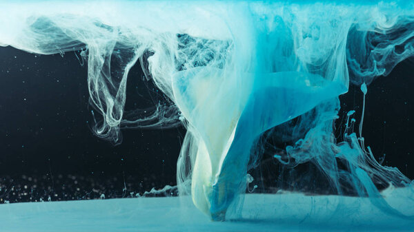 close-up view of beautiful tender calla lily flower and light blue paint on black 