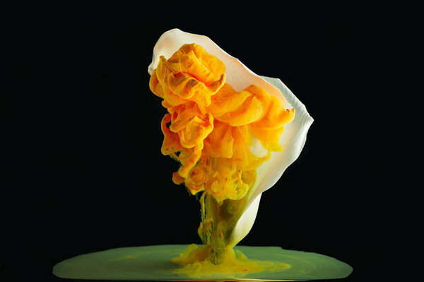 beautiful white calla lily flower and bright orange paint on black  