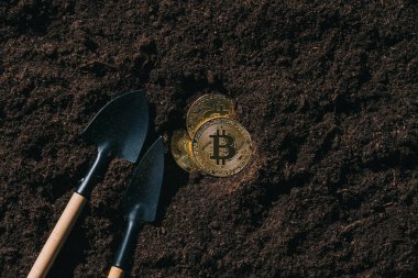 zeminde düzenlenmiş bahçe aletleri ve altın bitcoins üstten görünüm