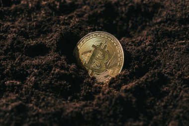 close up view of golden bitcoin in ground clipart