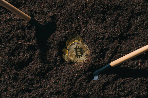 top view of arranged gardening tools and golden bitcoins on ground