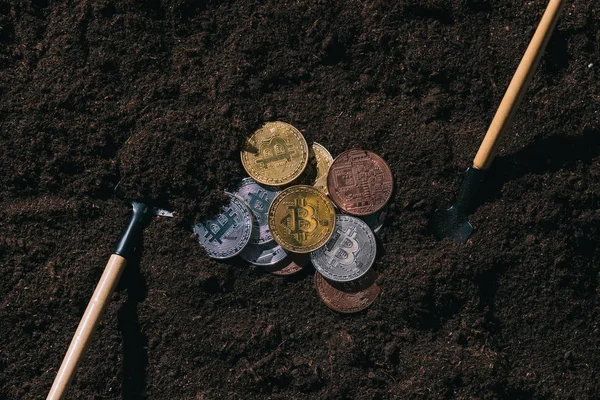 Vue Dessus Des Outils Jardinage Arrangés Divers Bitcoins Sur Sol — Photo