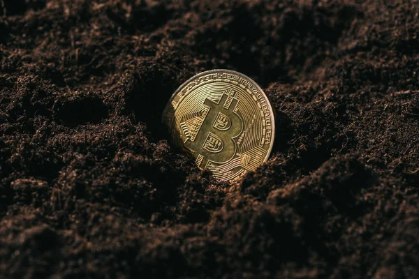 Vista Vicino Bitcoin Oro Nel Terreno — Foto Stock