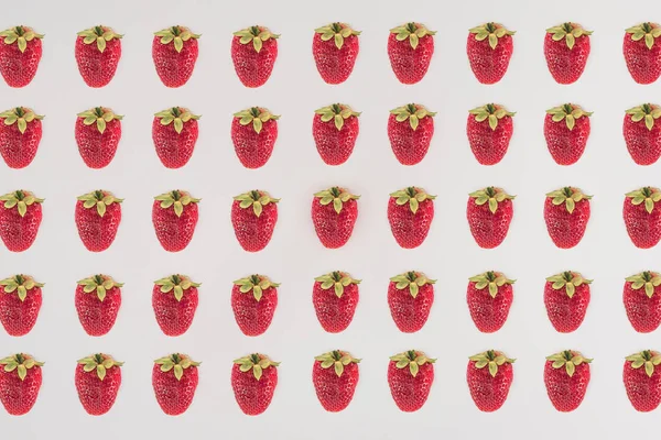 Rows Strawberry Isolated White Background — Stock Photo, Image
