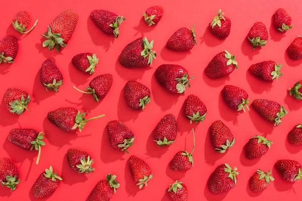 Frische Sommer Erdbeeren Auf Rotem Hintergrund — Stockfoto