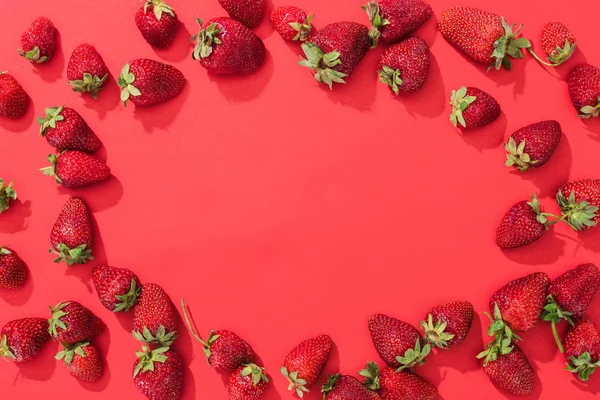 Frame Raw Juicy Strawberries Red Background — Stock Photo, Image