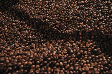 Close-up view of coffee beans roasted in professional machine clipart