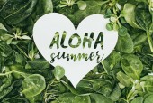 weißes Herz Symbol mit Worten aloha Sommer und schönen nassen grünen Blättern