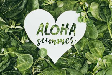 beyaz kalp sembol kelimelerle aloha yaz ve güzel ıslak yeşil yaprakları